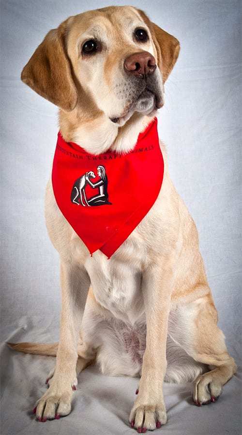 Intermountain Therapy Animals