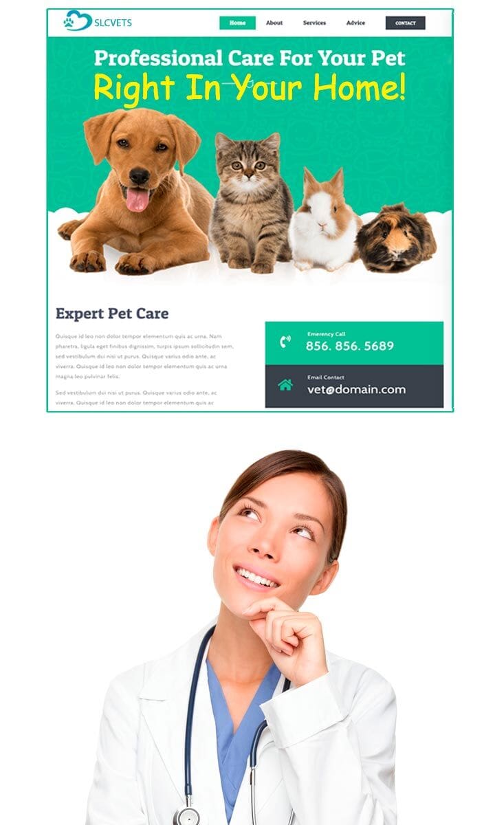 Vet Vision
