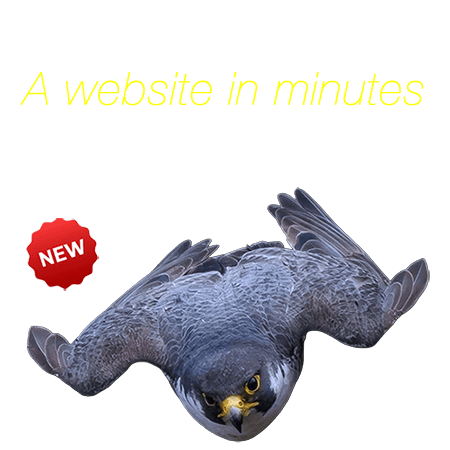 peregrine10-450